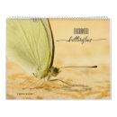 Suche nach flügel kalender Insekt