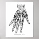 Suche nach drawing poster Illustration