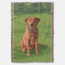 Suche nach labrador decken Jagdhund