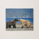 Suche nach braunbär puzzle Tierwelt
