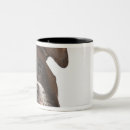 Suche nach boxerhunde tassen Haustiere