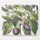 Suche nach 17 jahrhundert mousepads Deutsch