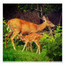 Suche nach verblassen poster Wald