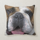 Suche nach union kissen Europa