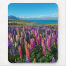 Suche nach neuseeland mousepads Blume