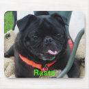 Suche nach schwarzer mops mousepads Schwarzes