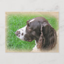 Suche nach sprungbrett postkarten Hund