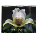 Suche nach blumen kalender Orchideen