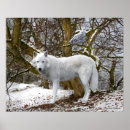 Suche nach lone wolf poster Tiere