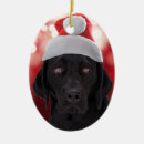 Suche nach jagdhund ornamente Lustig