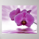 Suche nach reflektieren poster Wasser