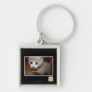 Suche nach tate schlüsselanhänger Ich kann habe cheezburger