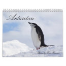 Suche nach die antarktis kalender Pinguine