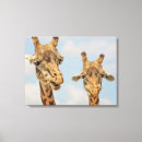 Suche nach giraffen leinwandbilder Muster