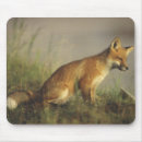Suche nach sonnenaufgang mousepads Wildtiere