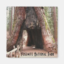 Suche nach tunnel magnete Yosemite