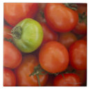 Suche nach voll fliesen Überfluss