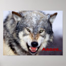 Suche nach wütend poster Wolf