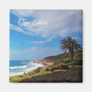 Suche nach palme magnete Landschaft