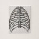 Suche nach skelett puzzle Anatomie