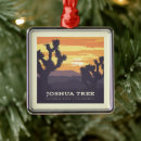 Suche nach joshua tree ornamente California