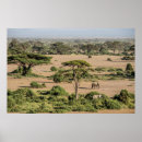 Suche nach afrikanische landschaft poster Safari