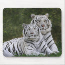 Suche nach weißer tiger mousepads Große katze