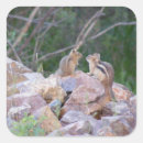Suche nach chipmunk aufkleber Natur