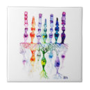 Suche nach zelle fliesen Wissenschaft