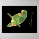 Suche nach parakeet poster Wild