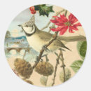 Suche nach schöner vogel aufkleber Blume