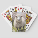 Suche nach sheep spielkarten Wollig
