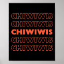 Suche nach cinco de mayo poster Kakteen