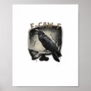 Suche nach krähe poster Vogel