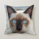 Suche nach der miezekatze kissen Haustier