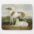 Suche nach 77 mousepads Landschaft