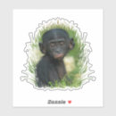 Suche nach ape aufkleber Primat