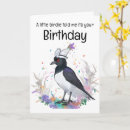 Suche nach magpie Tier