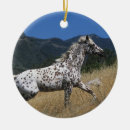 Suche nach appaloosa ornamente Reiter