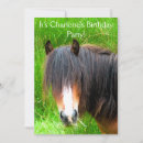 Suche nach ponys einladungen Jede person
