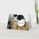 Suche nach bedauern karten Katzen