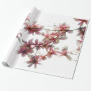 Suche nach magnolie geschenkpapier Packpapier