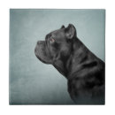 Suche nach mastiff fliesen Hund