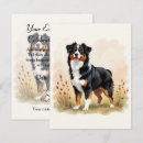 Suche nach australian shepherd einladungen Aussie