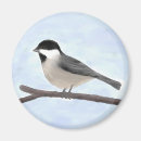 Suche nach schwarzer vogel magnete Vögel