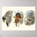 Suche nach drei tiere poster Natur