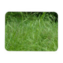 Suche nach betrug magnete Natur