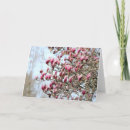 Suche nach magnolie karten Rosa