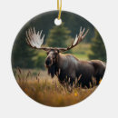 Suche nach elche ornamente Tiere