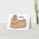 Suche nach shih tzu hund karten Haustier